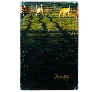 VTG 78 Montag Horses White Fence Equestrian Stationery Set Designer Mead Country